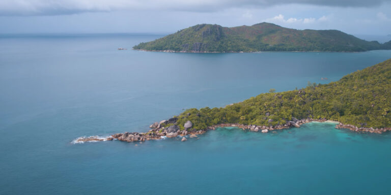 FOODPRO SEYCHELLES LTD foodpro seychelles ltd 768x384