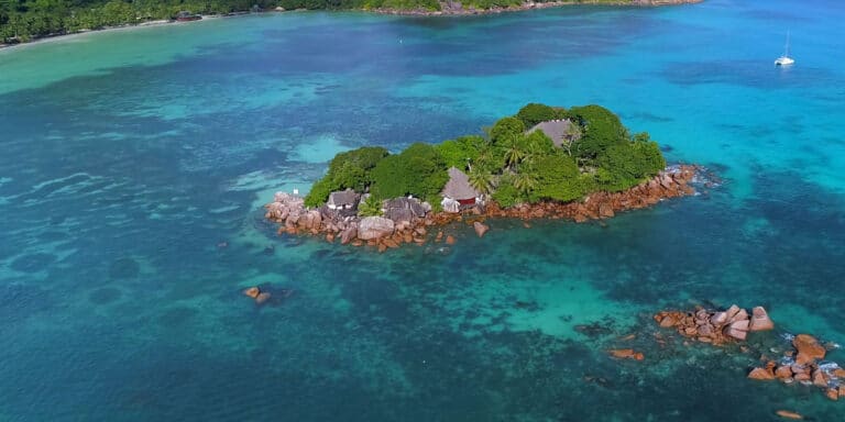 francis ernesta 768x384