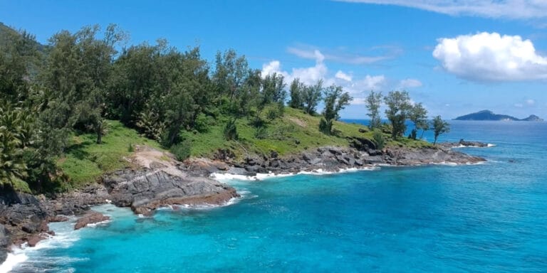 frangipani collections seychelles 768x384