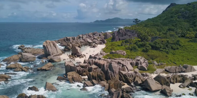 freewill architecture construction 768x384