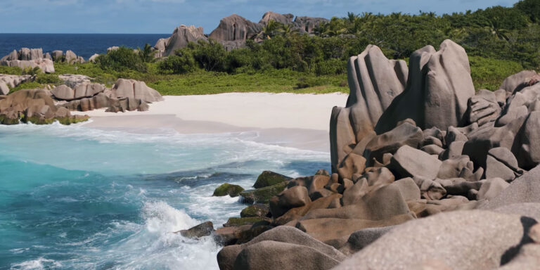 friends of seychelles botanical gardens association 768x384