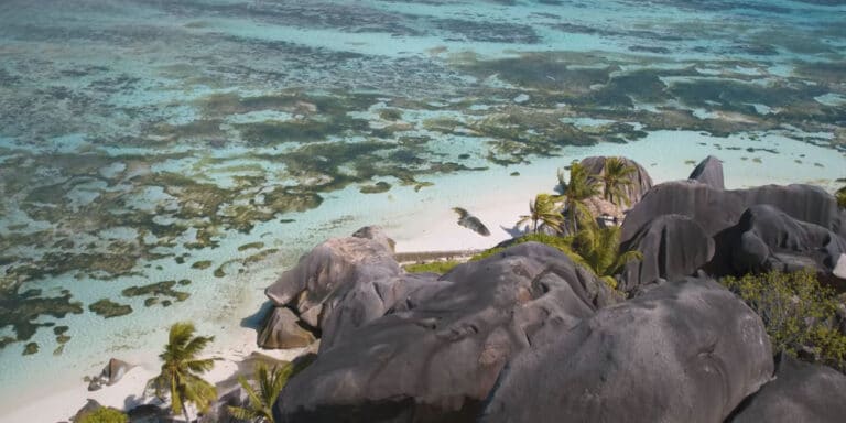 fsw events seychelles 768x384