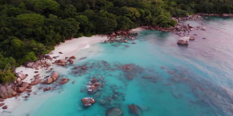 future now seychelles 768x384