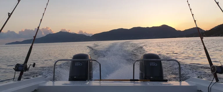 gams charters 768x318