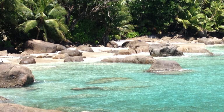 geffroys farm 768x384