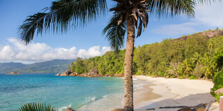 general security agency 768x384