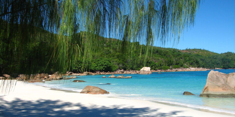 general traffic sey ltd 768x384