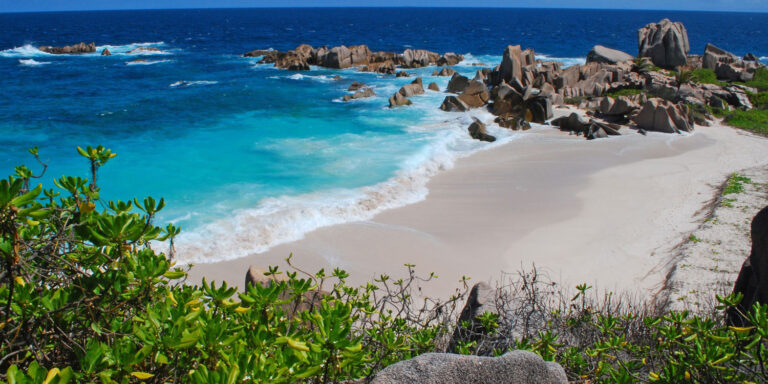 global ocean trading and services pty ltd 768x384