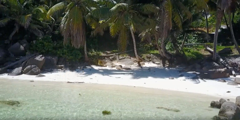 global vision international seychelles 768x384