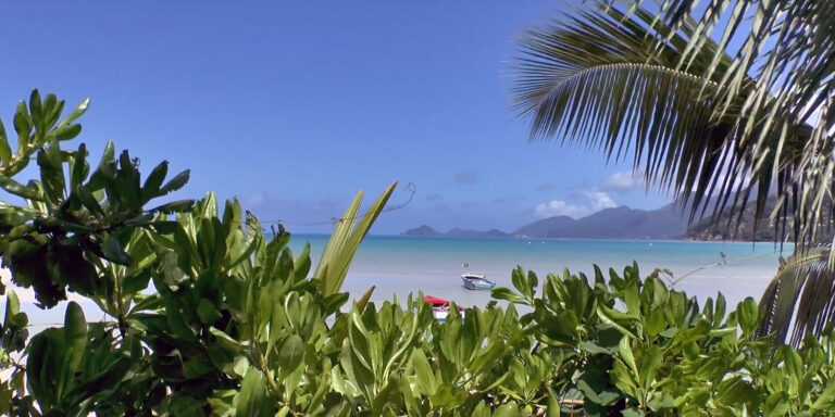 Profile golf federation of seychelles gfs 768x384