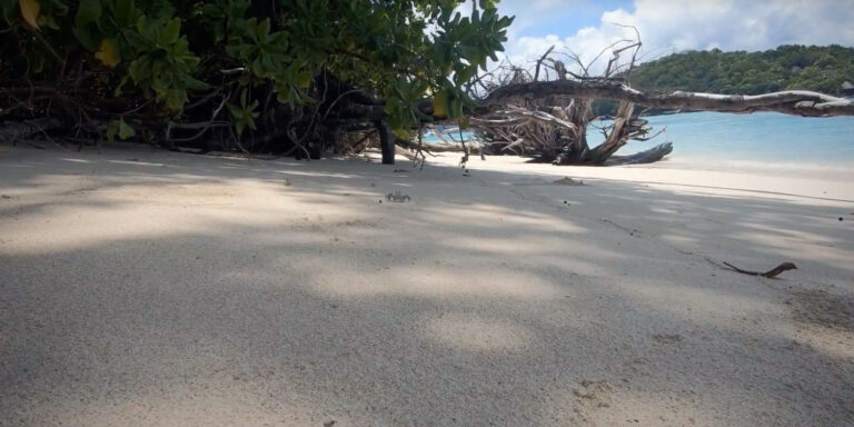 gondwana granite company limited 768x384