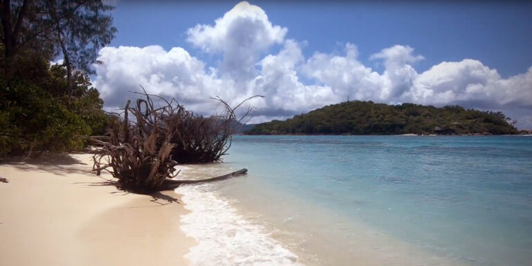 gondwana marine services ltd 768x384