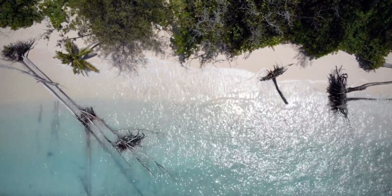 gonzague harrisson 768x384