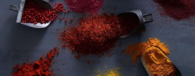 gopi veg foods general merchants 768x298