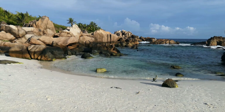 gospel artist seychelles 768x384