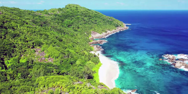 grand savoy restaurant 768x384