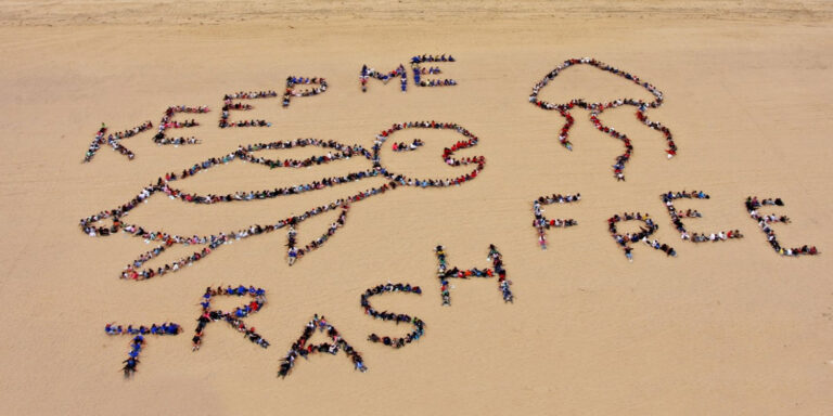 green islands foundation 768x384