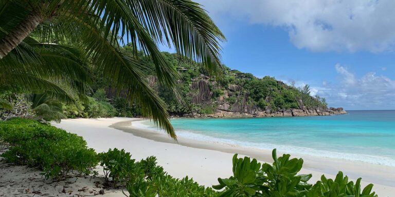 h3 active limited 768x384