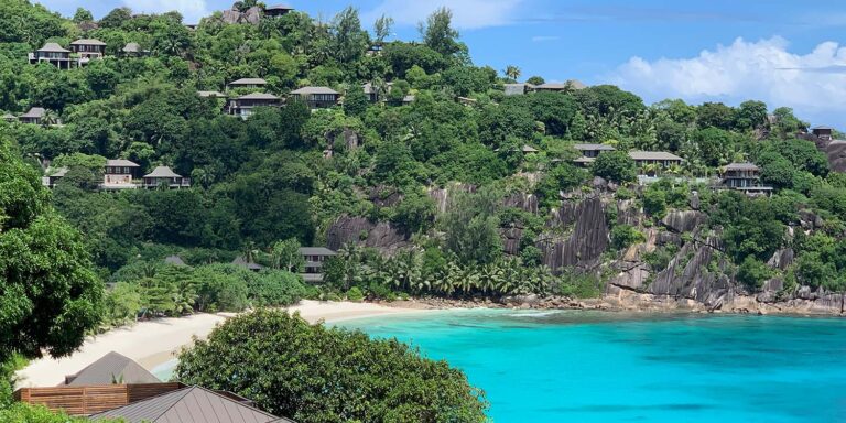 haari om mini market 768x384