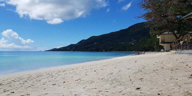 hamadalie limited 768x384