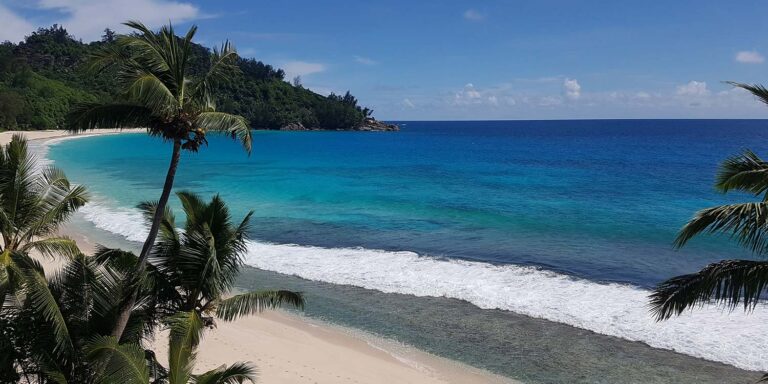 Profile hampers gifts by 5ms seychelles 768x384