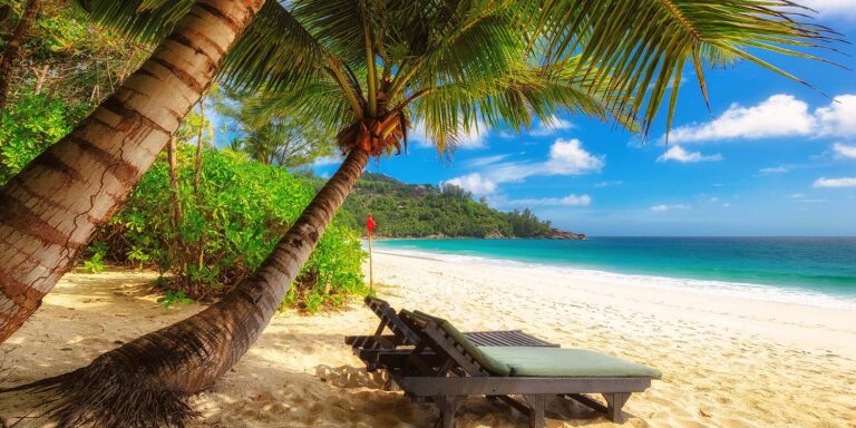 harry ally associates 768x384