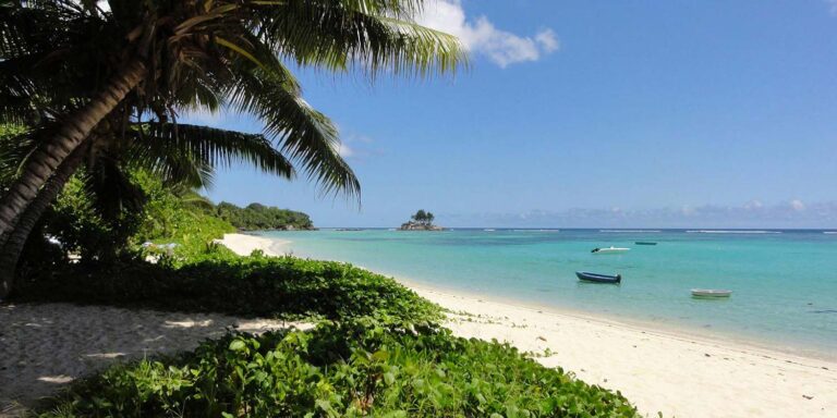 hasu seychelles 768x384