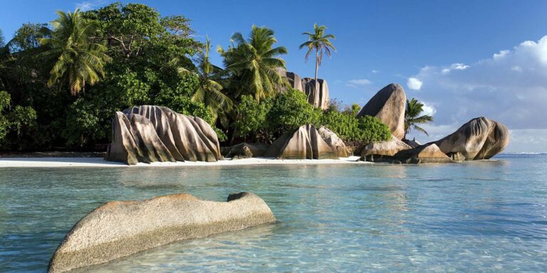 heartbeat ballroom latin dance studio seychelles 768x384