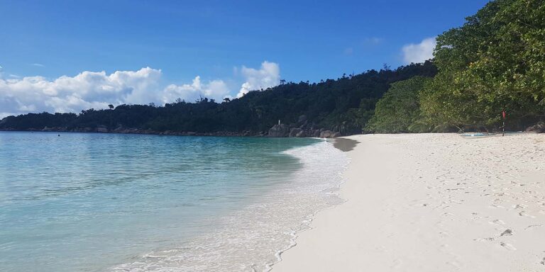 hibiscus car hire pty ltd 768x384