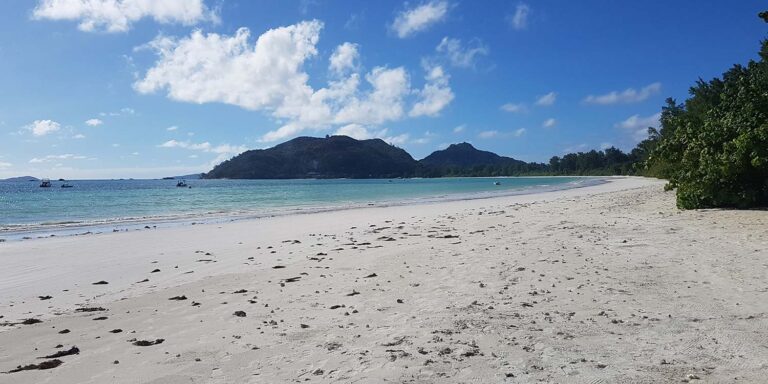 hibiscus hotels resorts pty ltd 768x384