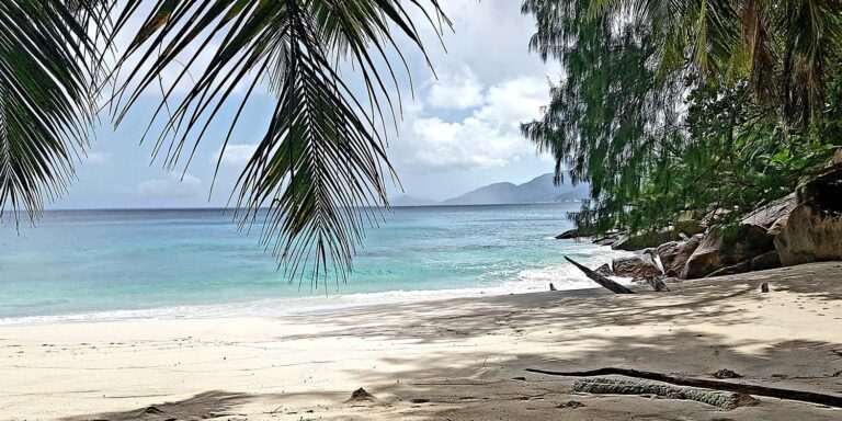 holiday home 768x384