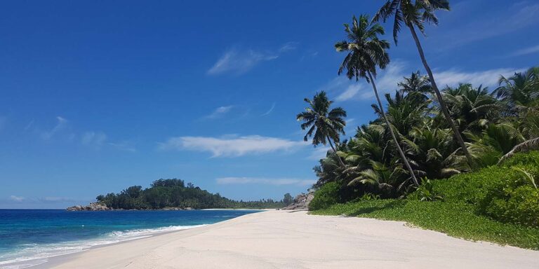 home accessories 768x384