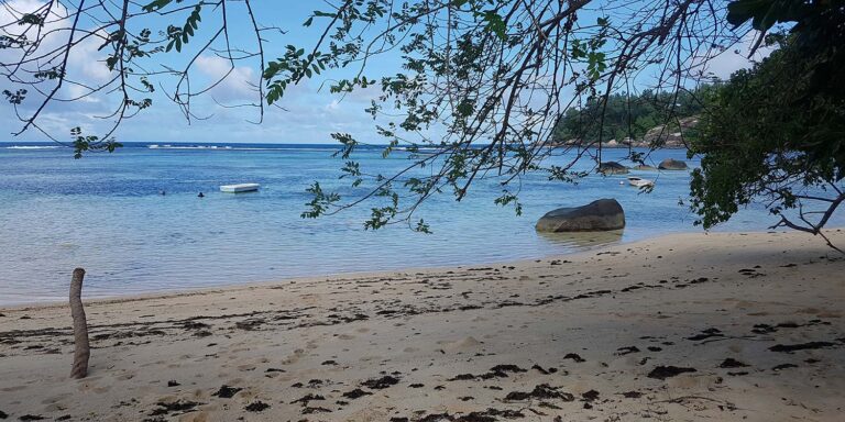 honorary consul of the federal republic of germany 768x384