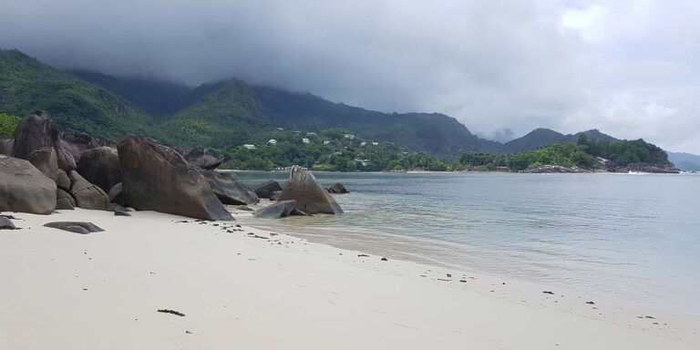 honorary consulate of italy 768x384