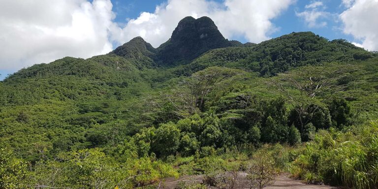 hot point proprietary limited 768x384