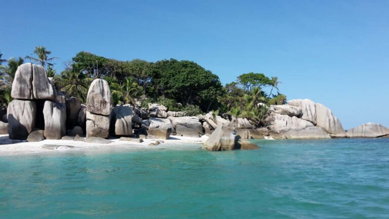 i r trading pty ltd 768x432