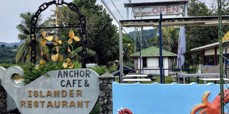 ibrahim surman store 768x384