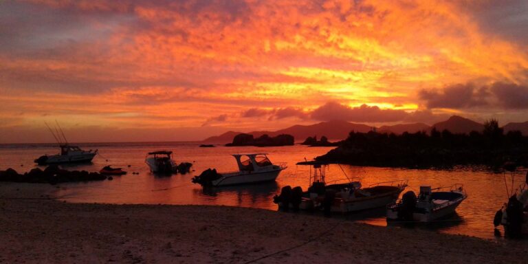 intelvision ltd 768x384