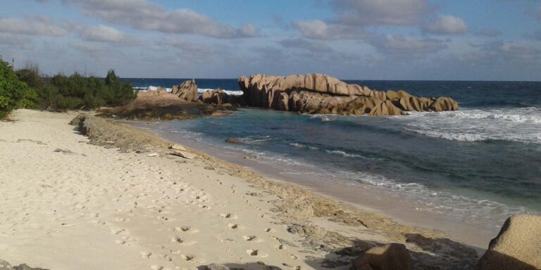 inter island boats ltd 768x384