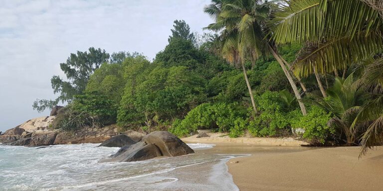 inter island company ltd 768x384