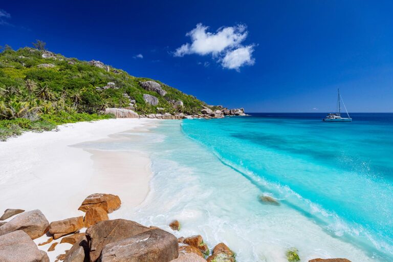 island casino management ltd 768x512