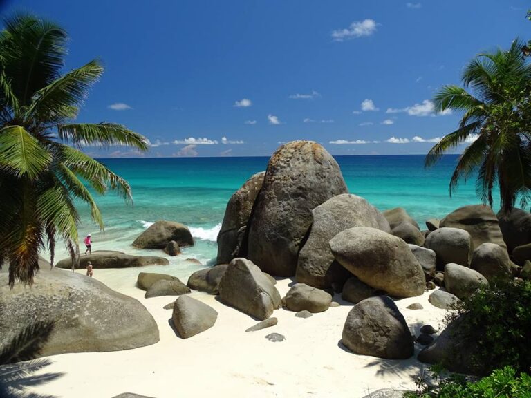 Island Conservation Society island conservation society 768x576
