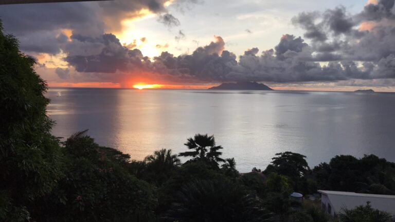 island construction pty ltd 768x432