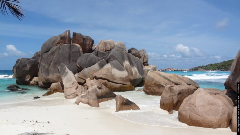 island delight pty limited 768x432