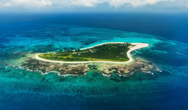 island fried chicken 768x449