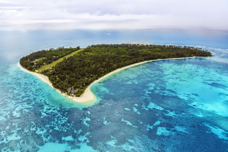 jolishma transfer 768x512