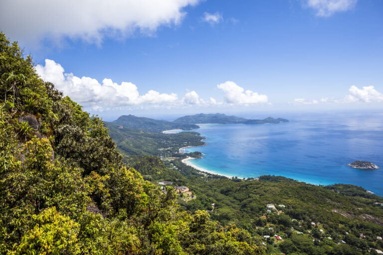 jules simeon 768x512