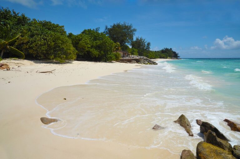 kannus supermarket proprietary limited 768x511