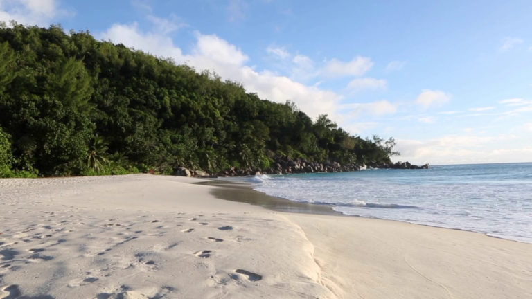 kathir store 768x432