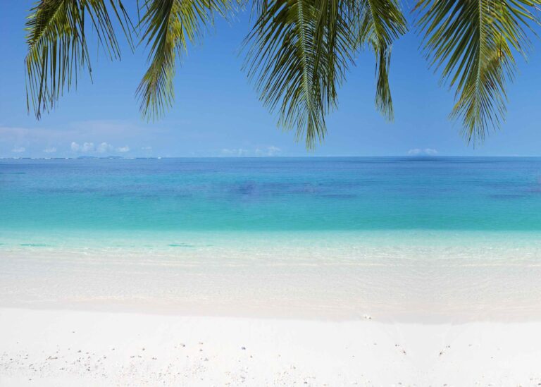 la casa azzurra 768x549